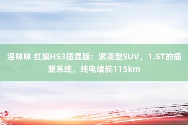 淫咪咪 红旗HS3插混版：紧凑型SUV，1.5T的插混系统，纯电续航115km