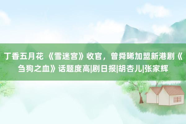 丁香五月花 《雪迷宫》收官，曾舜晞加盟新港剧《刍狗之血》话题度高|剧日报|胡杏儿|张家辉