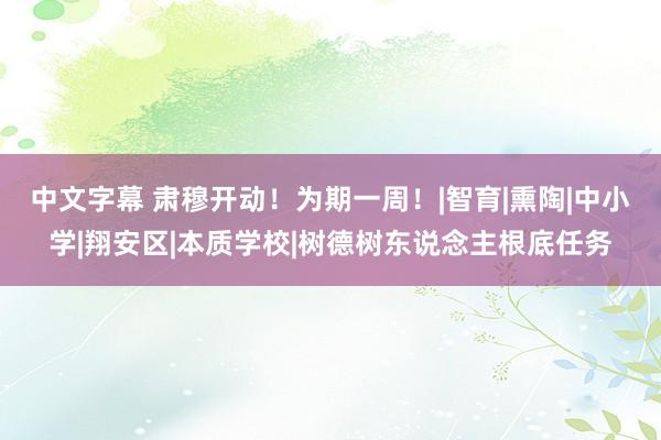 中文字幕 肃穆开动！为期一周！|智育|熏陶|中小学|翔安区|本质学校|树德树东说念主根底任务