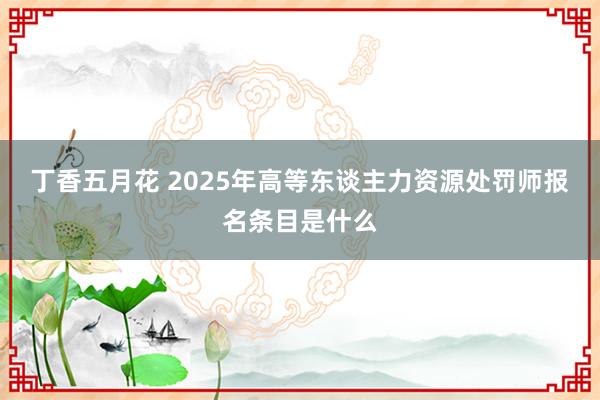 丁香五月花 2025年高等东谈主力资源处罚师报名条目是什么