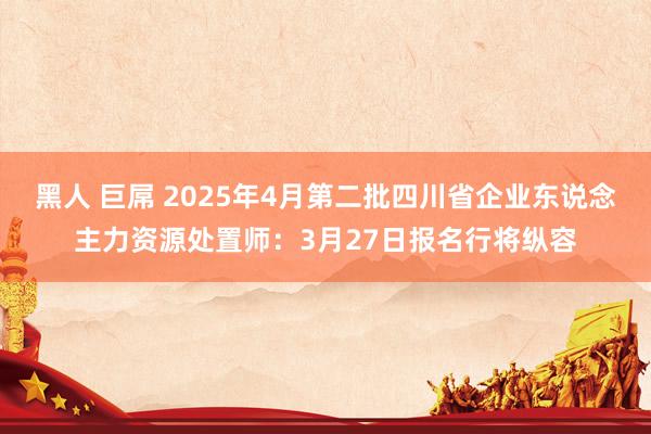 黑人 巨屌 2025年4月第二批四川省企业东说念主力资源处置师：3月27日报名行将纵容
