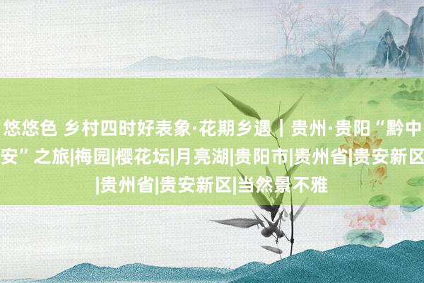 悠悠色 乡村四时好表象·花期乡遇｜贵州·贵阳“黔中花事 春漫贵安”之旅|梅园|樱花坛|月亮湖|贵阳市|贵州省|贵安新区|当然景不雅