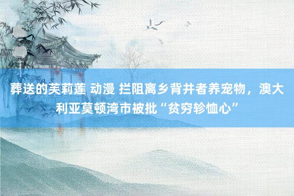 葬送的芙莉莲 动漫 拦阻离乡背井者养宠物，澳大利亚莫顿湾市被批“贫穷轸恤心”