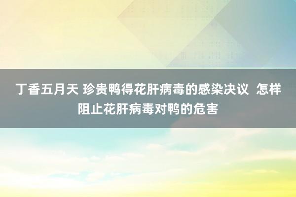 丁香五月天 珍贵鸭得花肝病毒的感染决议  怎样阻止花肝病毒对鸭的危害