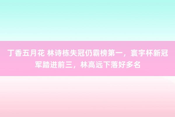 丁香五月花 林诗栋失冠仍霸榜第一，寰宇杯新冠军踏进前三，林高远下落好多名
